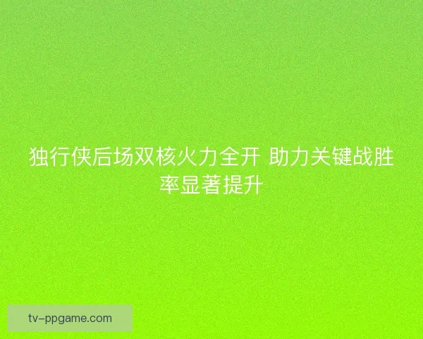 独行侠后场双核火力全开 助力关键战胜率显著提升