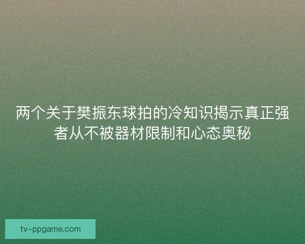 两个关于樊振东球拍的冷知识揭示真正强者从不被器材限制和心态奥秘