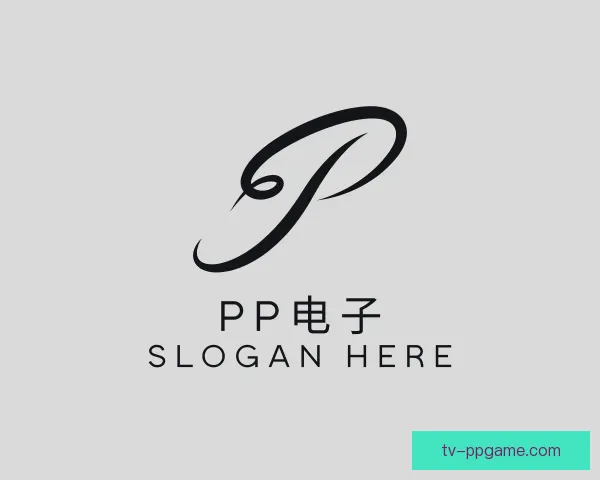 了解PP电子